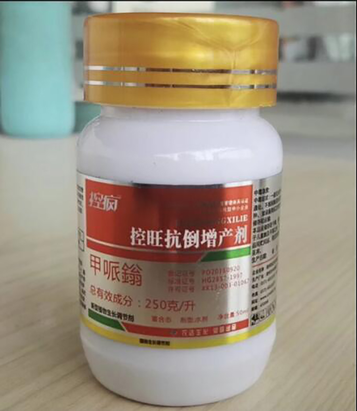 Talking about the Performance of Crazy Control in Cotton and the Key Points of Cotton Chemical Control Technology(圖4)