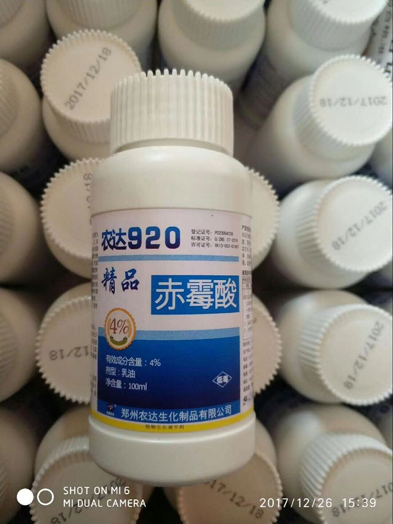 Nongda 920, different gibberellin(圖4)